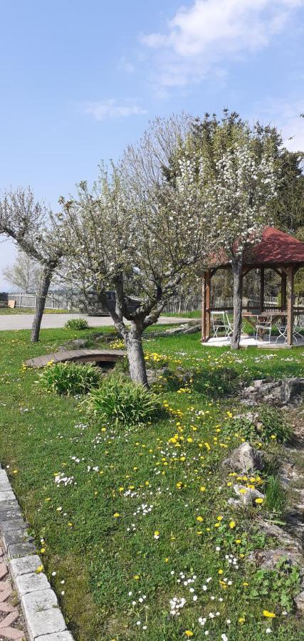 B&B Talstation Horselberg-Hainich Zewnętrze zdjęcie