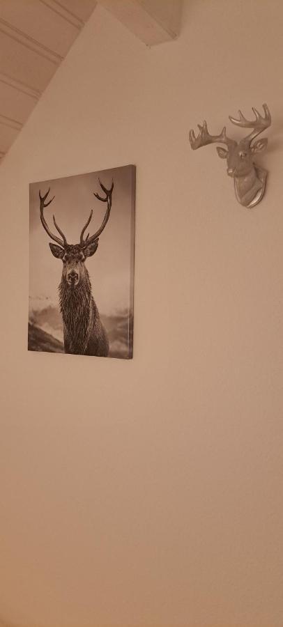 B&B Talstation Horselberg-Hainich Zewnętrze zdjęcie