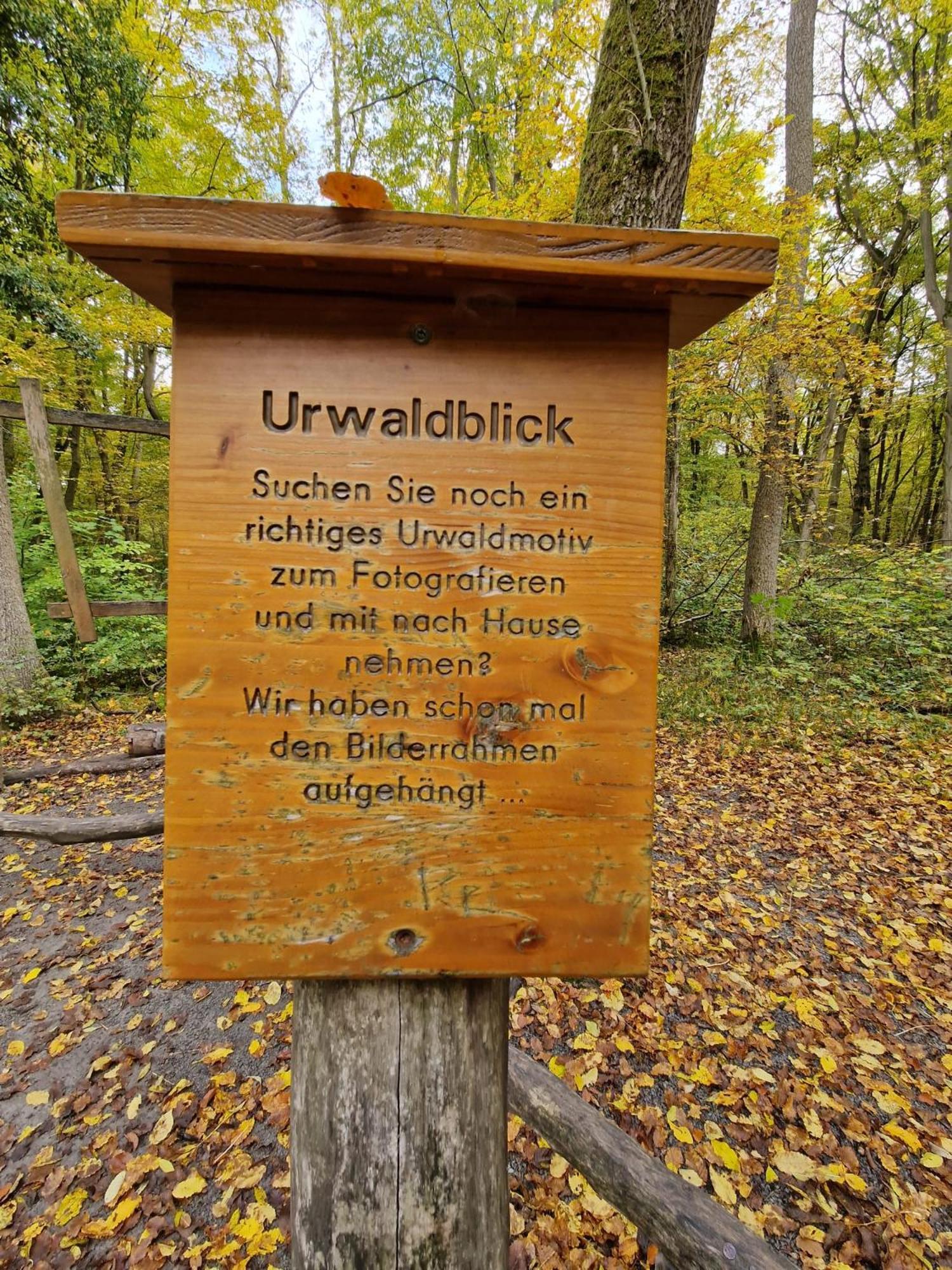 B&B Talstation Horselberg-Hainich Zewnętrze zdjęcie
